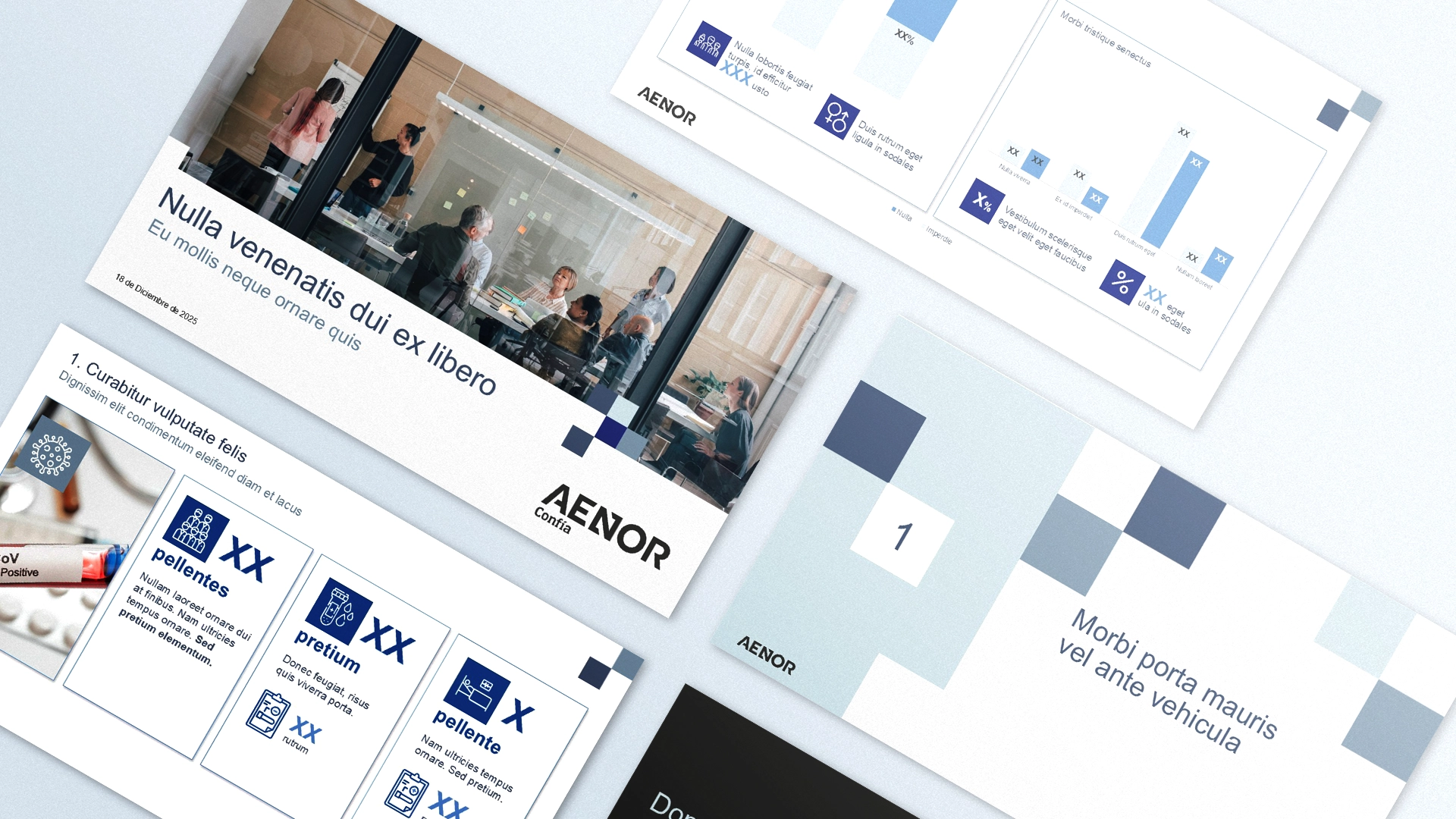 AENOR data visualization PowerPoint presentation design