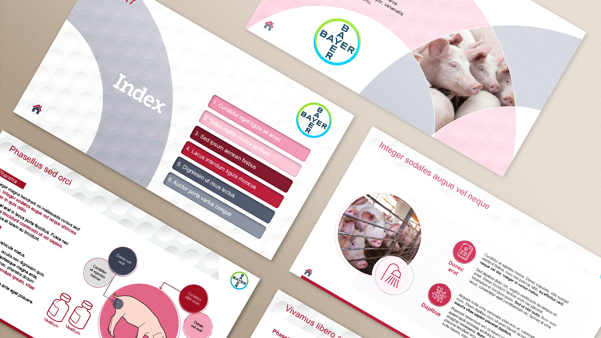 Bayer scientific presentation slides pharma