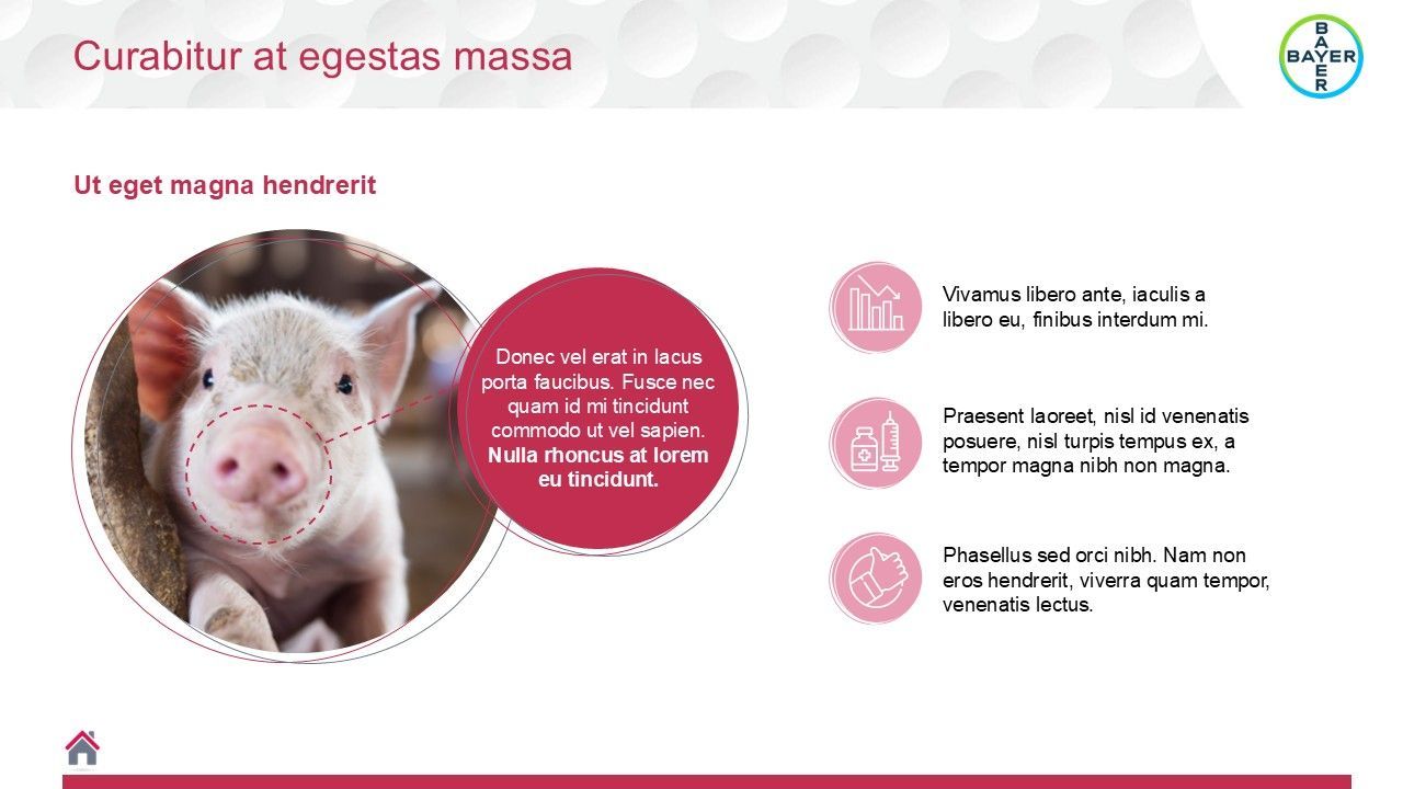 Bayer technical scientific PowerPoint presentation