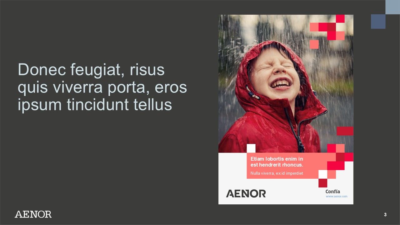 AENOR brand-aligned data visualization presentation slides